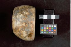 Foto (hinten) von Armreifen aus Chank-Schnecke (NHMW-ZOO-MO-0081100-ETH-125a)
